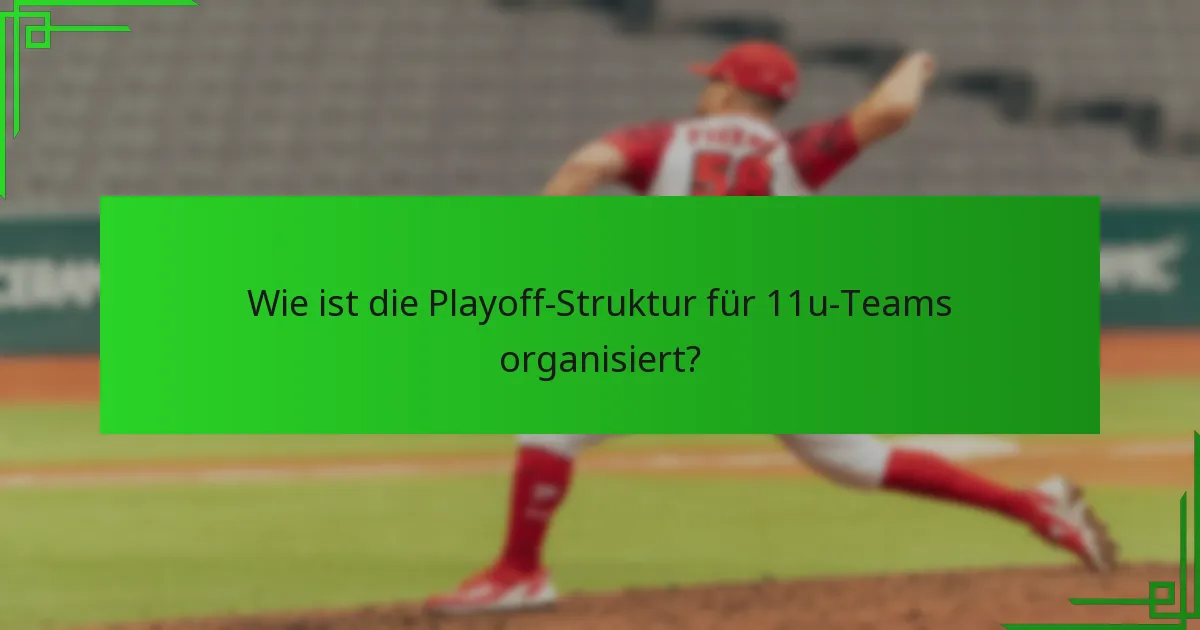 Wie ist die Playoff-Struktur für 11u-Teams organisiert?
